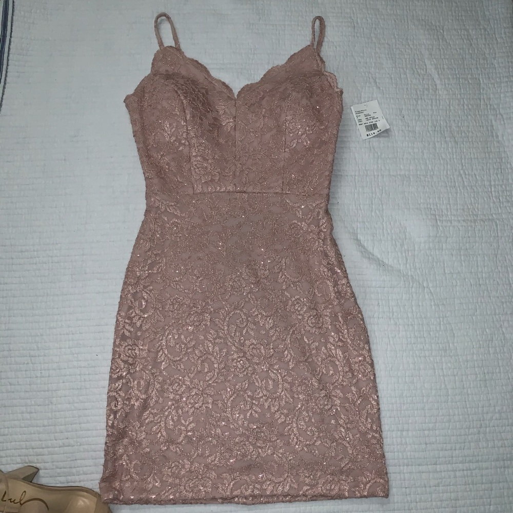 Scalloped V-Neck Stretch Lace Dress with Open Back